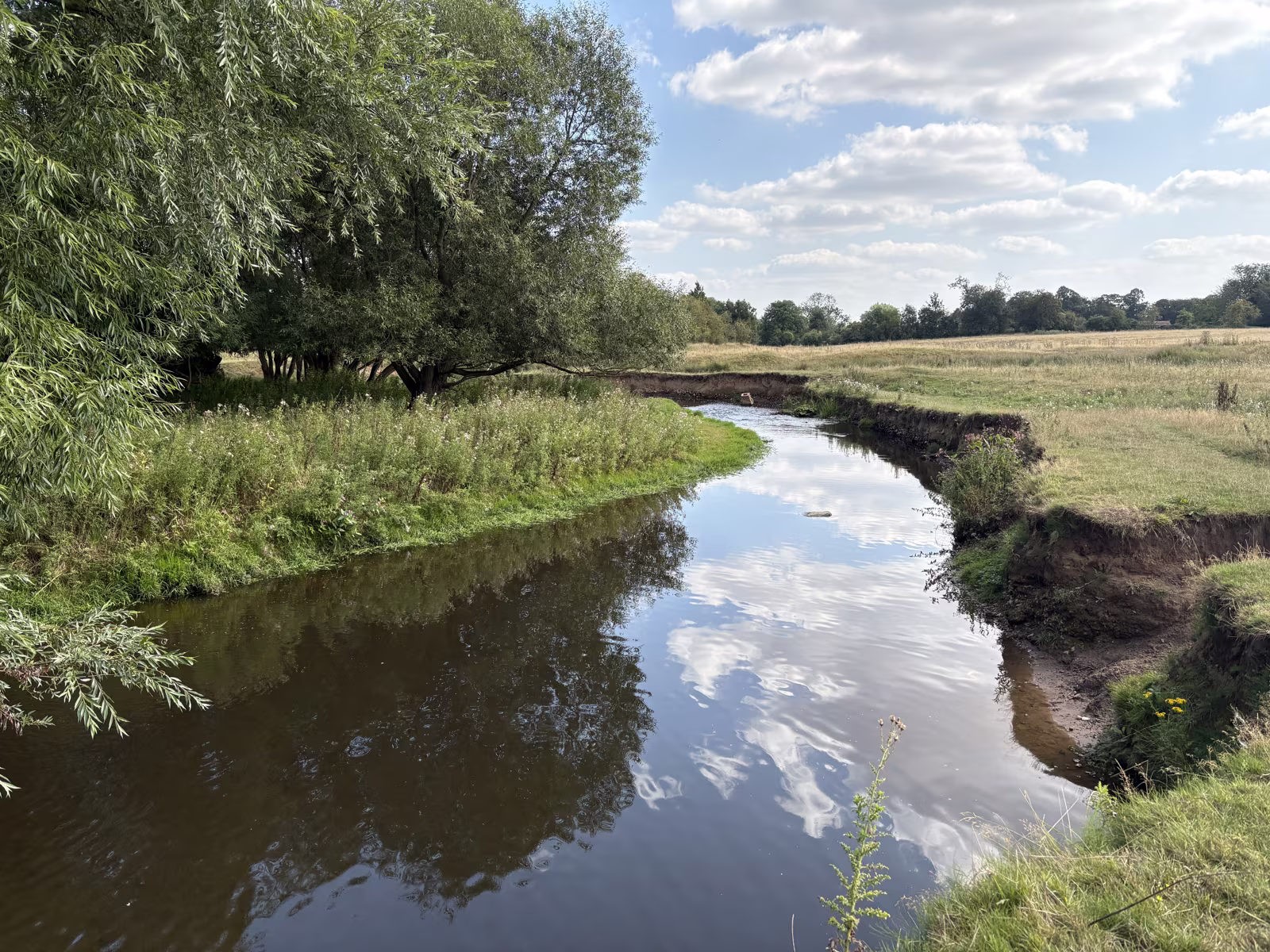 A wide bend of Cod Beck below the weir, still enough to hold the reflection of the clouds