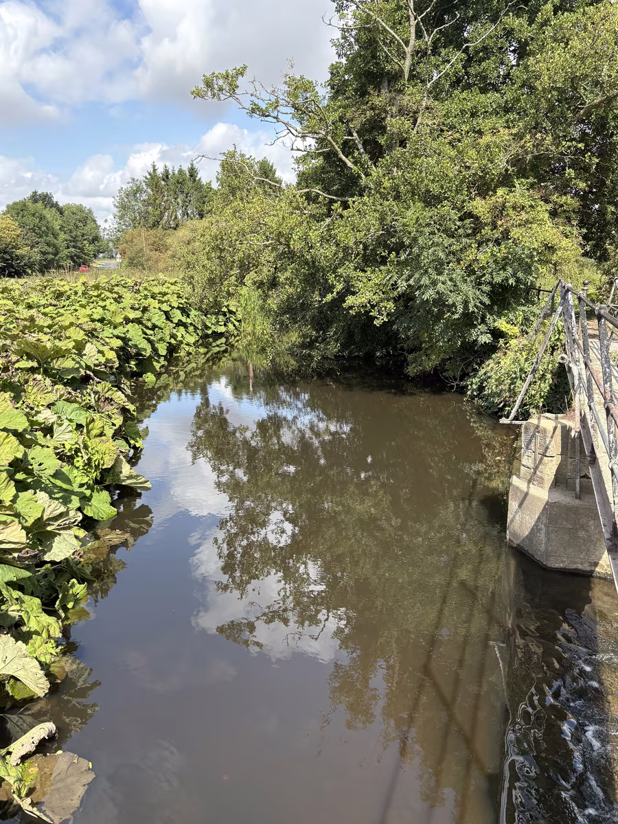 The footbridge over Norby Weir, with railings on both sides