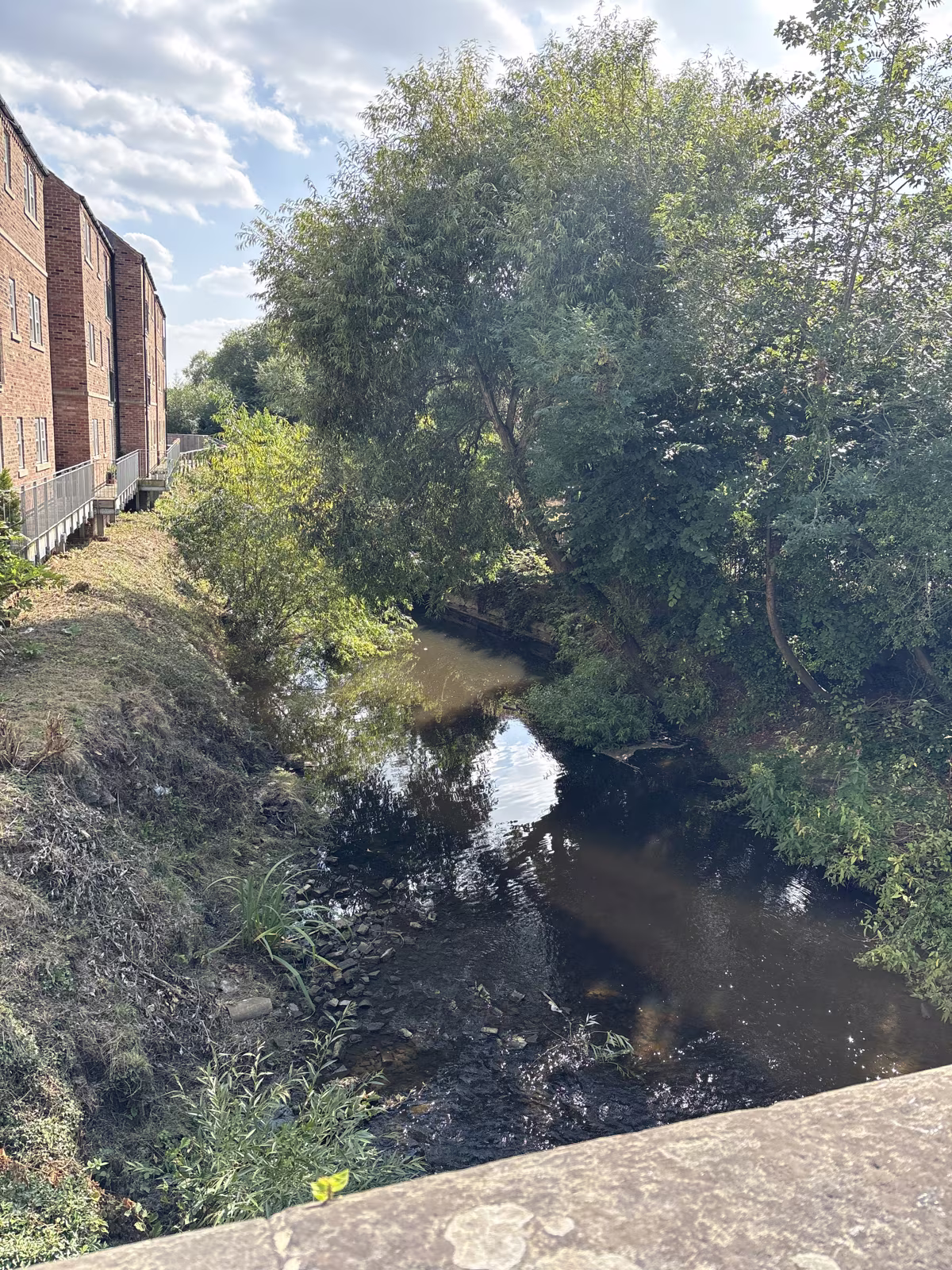 Looking down on Cod Beck from the road bridge in town, with the brick backs of buildings alongside the water