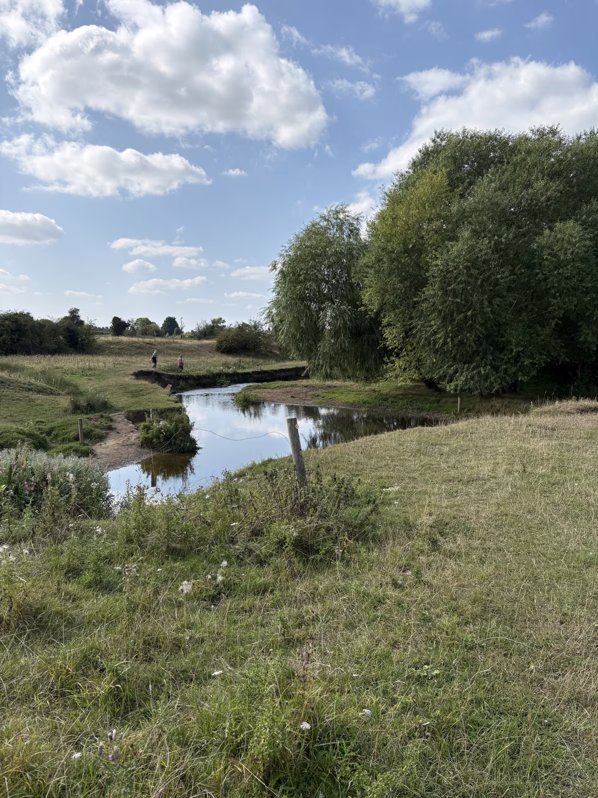 Cod Beck meandering away across flat grazing, with a small footbridge in the distance