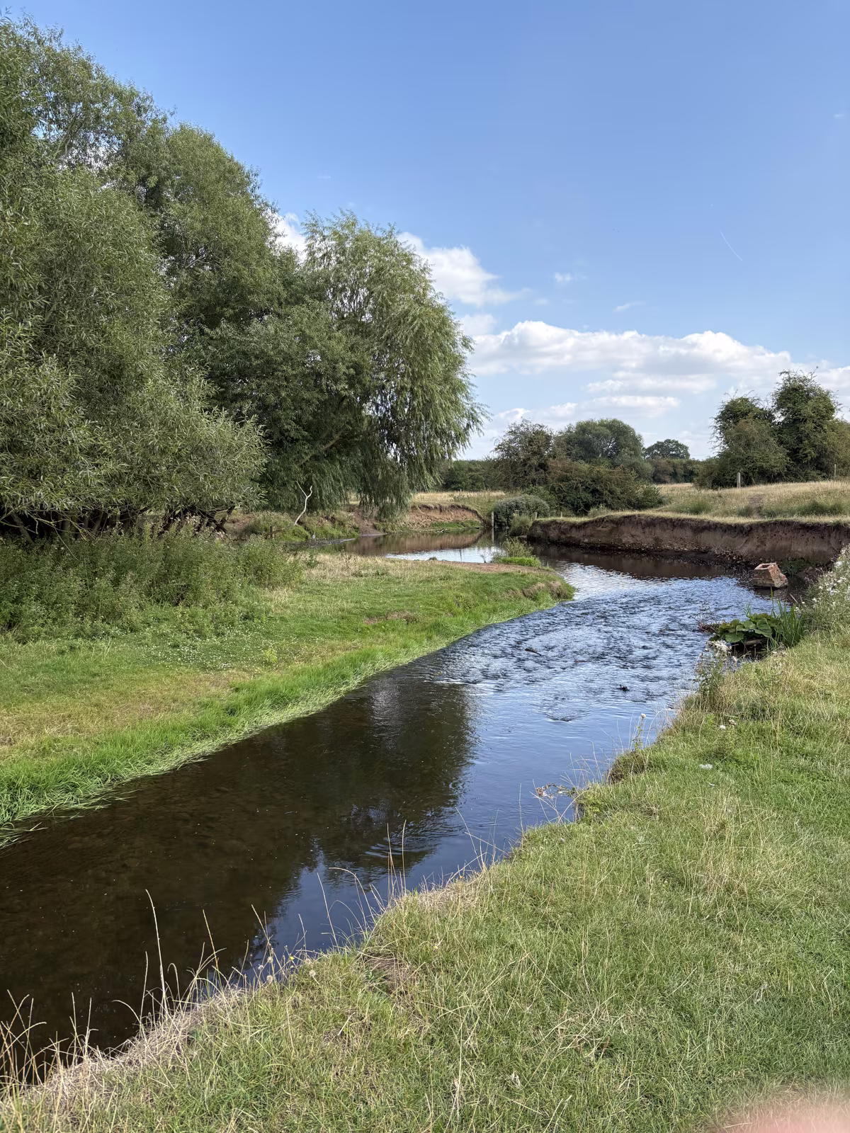 The beck running shallow and clear over gravel, with willows leaning in from the bank
