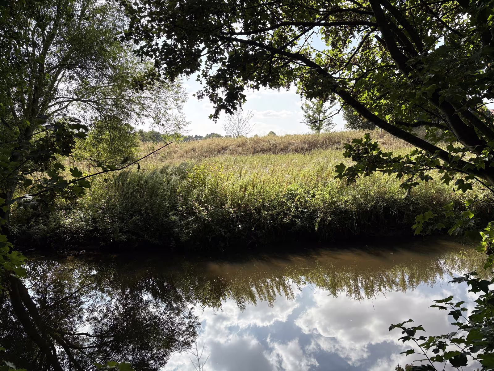 Still water under overhanging branches, with a hedge and stubble field beyond
