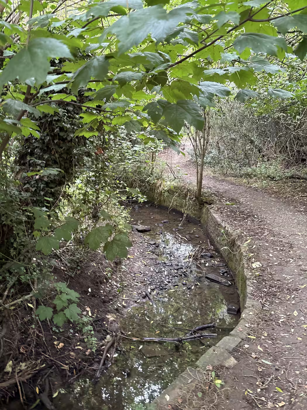 The brick-lined pool beside the path, shallow enough in summer to see the bed. Stop here a minute; this is where the little fish are easiest to spot