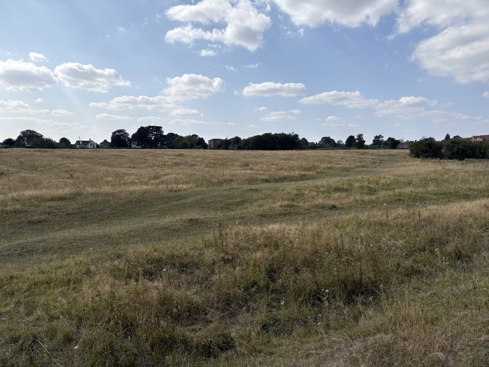 The open grass of Sowerby Flatts in late summer, dry and pale, with a line of trees along the far edge