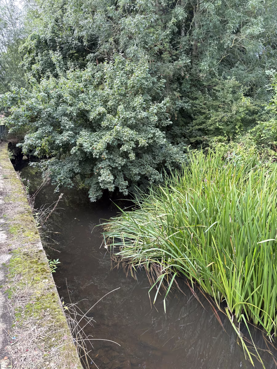 The path and benches along the beck