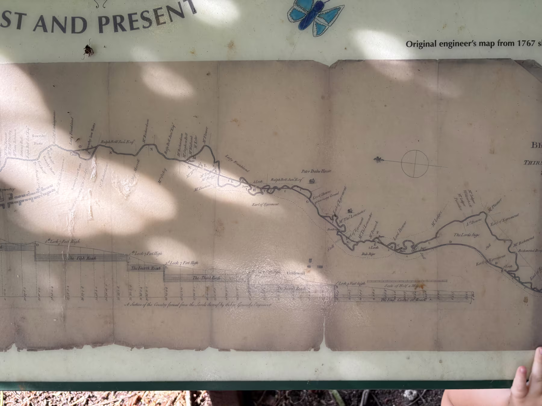 Close-up of the 1767 engineer's map on the board, showing the five proposed locks and their heights, the numbered reaches, and Sowerby Flatts at the left-hand end
