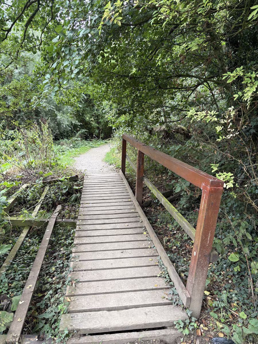 A timber footbridge on the route with its left-hand handrail broken and fallen away into the undergrowth
