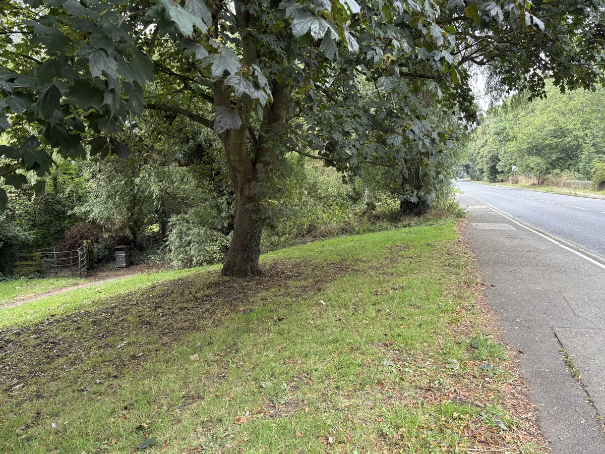 The same gate seen from the A61, set back behind a grass verge under a big sycamore