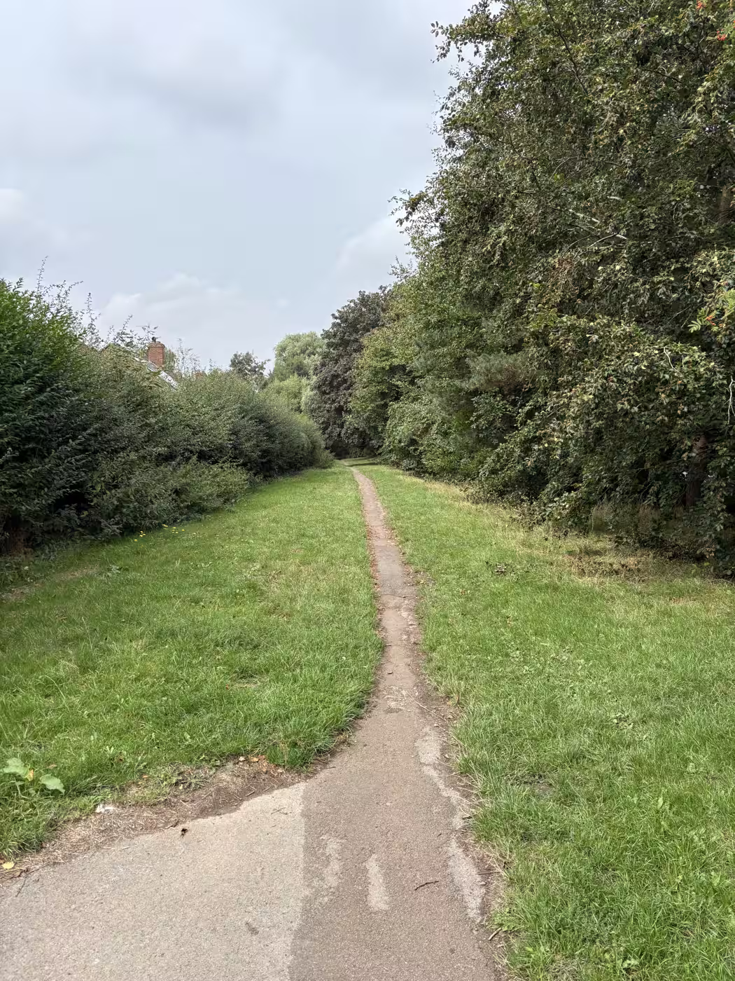 The far end of the walk, where the woodland gives way to an open grass stretch and the surfaced path towards Stockton Road