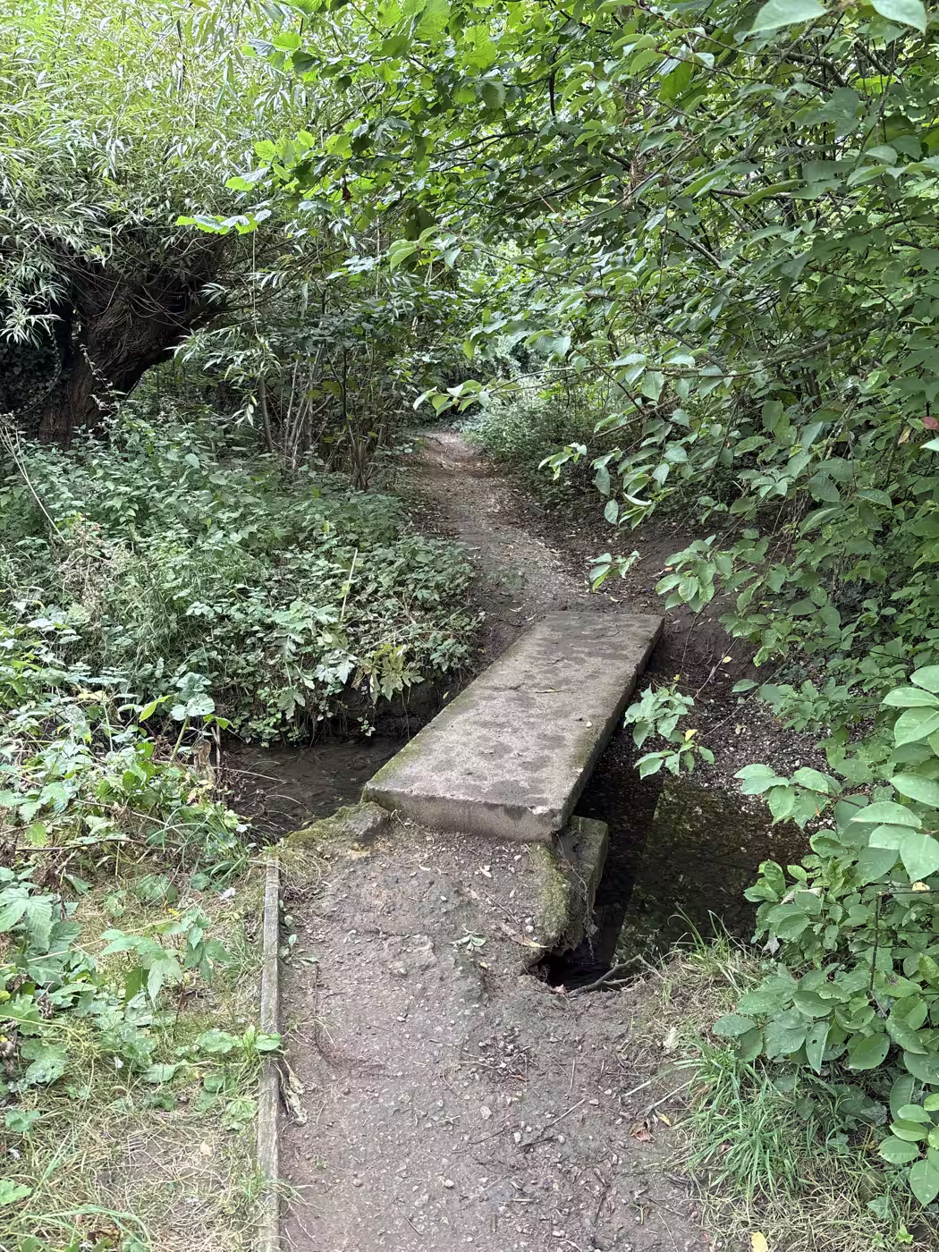 One slab sits proud where its end has worn, with a gap opening beside it. Nothing dangerous in daylight, but it is the step to hold a small hand across